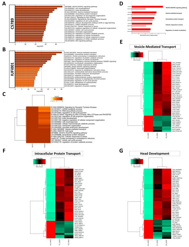 https://cdn.ncbi.nlm.nih.gov/pmc/blobs/eb20/11011893/f5cbe1db847c/cells-13-00591-g005.jpg