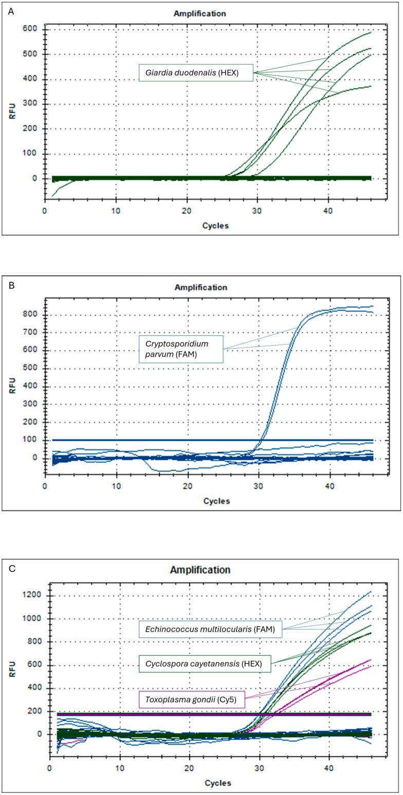https://cdn.ncbi.nlm.nih.gov/pmc/blobs/eb20/11510488/bcd5daaac227/pathogens-13-00900-g001.jpg