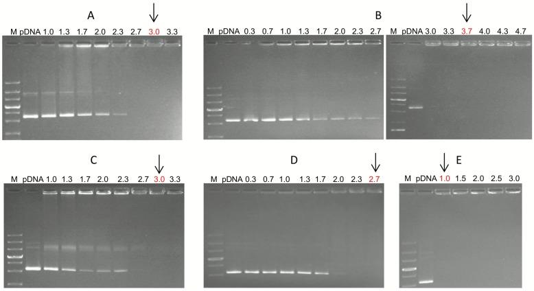 https://cdn.ncbi.nlm.nih.gov/pmc/blobs/eb22/4835110/ac0674cb4f39/pone.0153633.g002.jpg