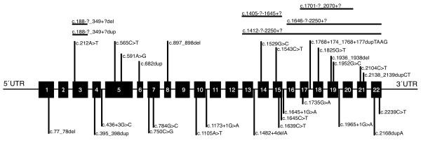 https://cdn.ncbi.nlm.nih.gov/pmc/blobs/eb23/3189111/be5a92628aab/1471-2350-12-116-1.jpg