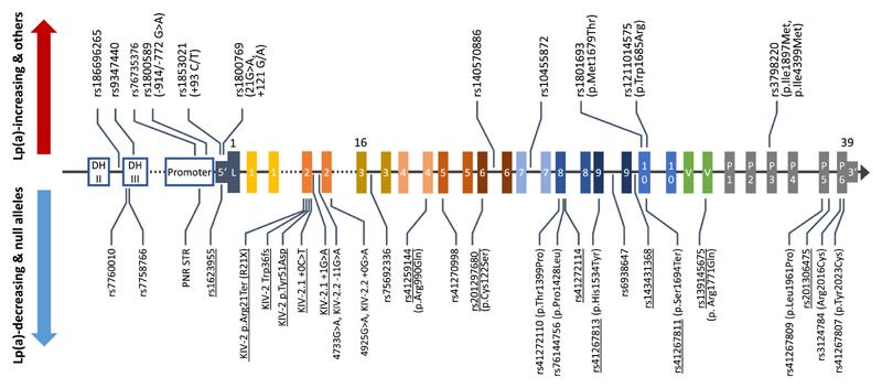 https://cdn.ncbi.nlm.nih.gov/pmc/blobs/eb23/7613587/0e1295696f89/EMS152740-f003.jpg