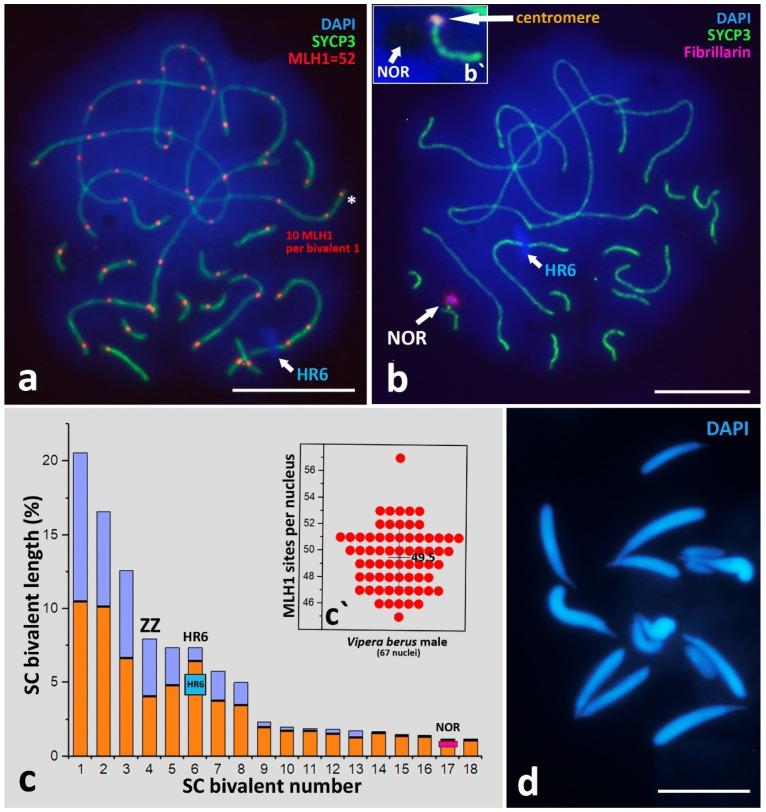 https://cdn.ncbi.nlm.nih.gov/pmc/blobs/eb24/9774092/b02f056368f7/animals-12-03563-g002.jpg