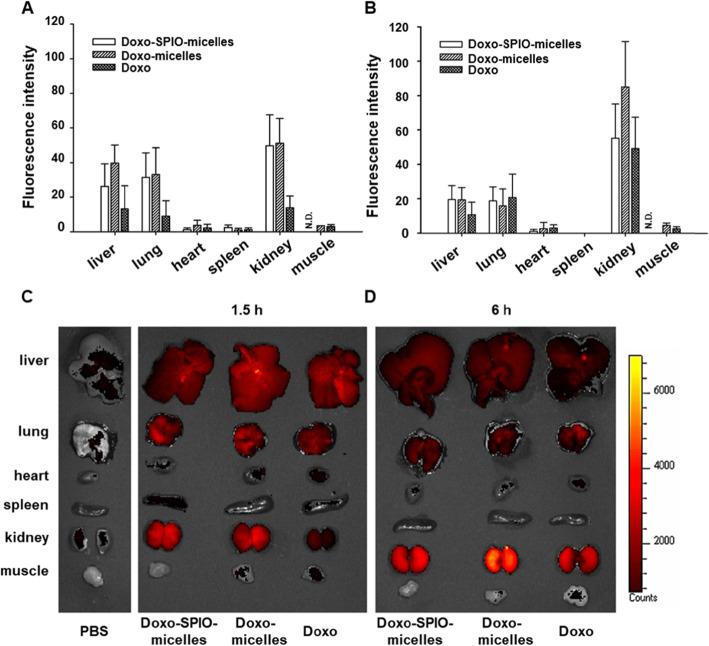 https://cdn.ncbi.nlm.nih.gov/pmc/blobs/eb25/8900364/8d3215442d8e/40824_2022_255_Fig9_HTML.jpg