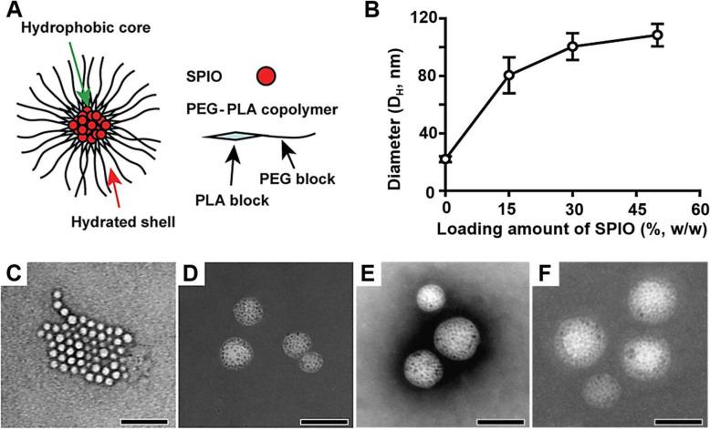 https://cdn.ncbi.nlm.nih.gov/pmc/blobs/eb25/8900364/e4a2c6628104/40824_2022_255_Fig1_HTML.jpg