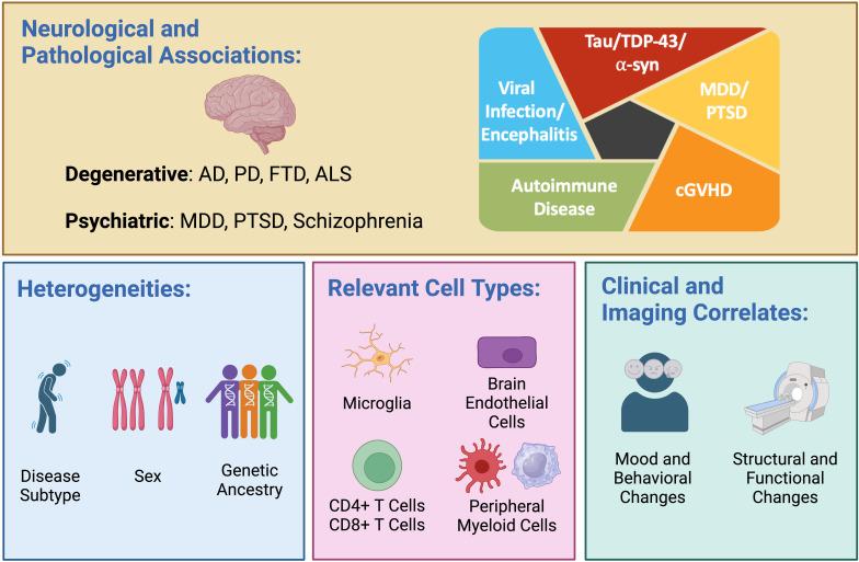 https://cdn.ncbi.nlm.nih.gov/pmc/blobs/eb27/11484020/4848fba234d7/fpsyt-15-1480438-g001.jpg