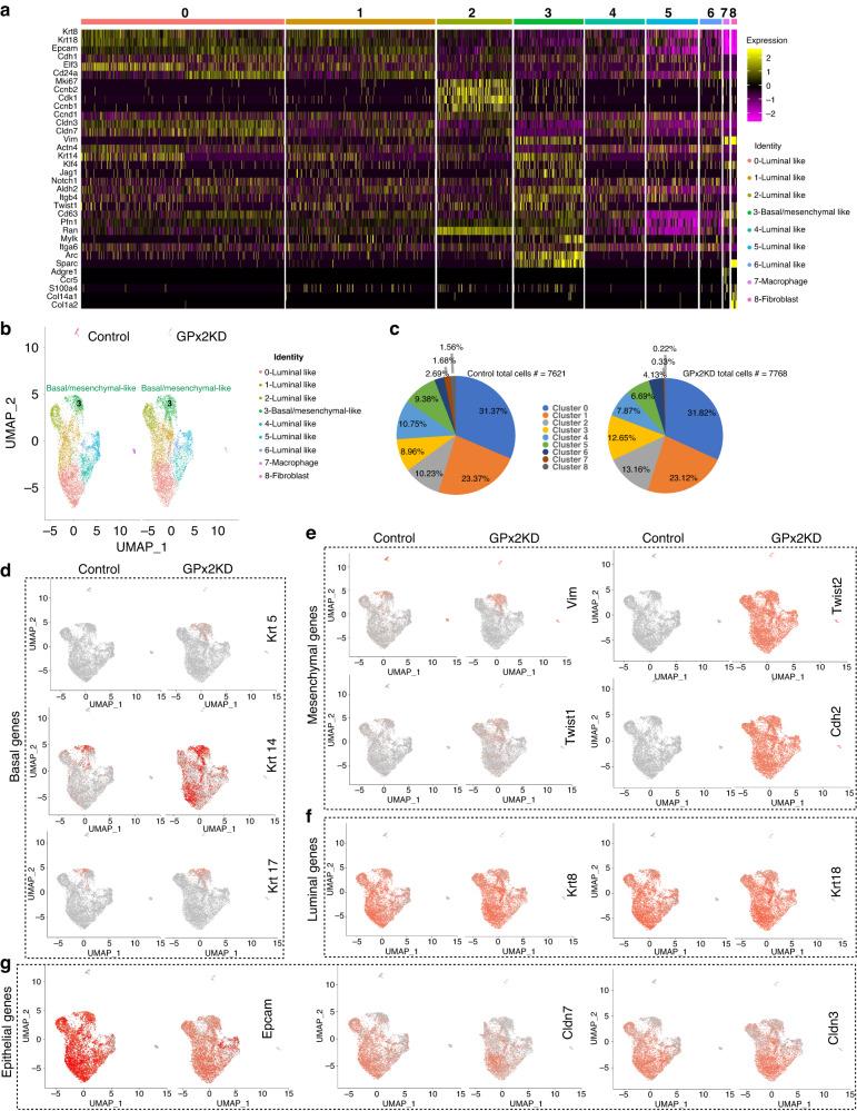 https://cdn.ncbi.nlm.nih.gov/pmc/blobs/eb2a/10951347/7ae4d4929c8d/41416_2023_2522_Fig1_HTML.jpg