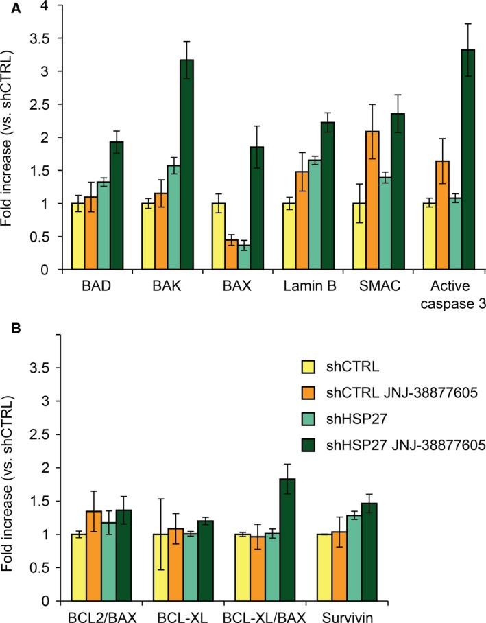 https://cdn.ncbi.nlm.nih.gov/pmc/blobs/eb2a/5527476/f4d877bb9f32/MOL2-11-599-g005.jpg