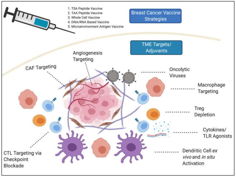 https://cdn.ncbi.nlm.nih.gov/pmc/blobs/eb2a/7565925/9658d01e77bd/vaccines-08-00529-g001.jpg