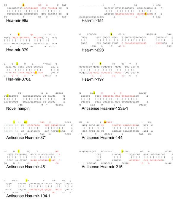 https://cdn.ncbi.nlm.nih.gov/pmc/blobs/eb2b/1557993/cbdc0b5270c8/gb-2006-7-4-r27-2.jpg