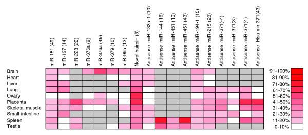 https://cdn.ncbi.nlm.nih.gov/pmc/blobs/eb2b/1557993/f387e7c0e048/gb-2006-7-4-r27-1.jpg