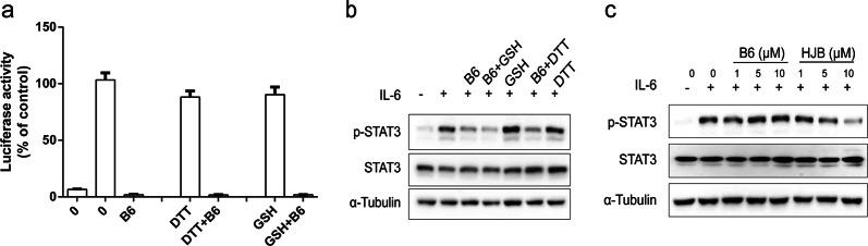 https://cdn.ncbi.nlm.nih.gov/pmc/blobs/eb2b/7656847/364c905811f1/41401_2019_254_Fig4_HTML.jpg
