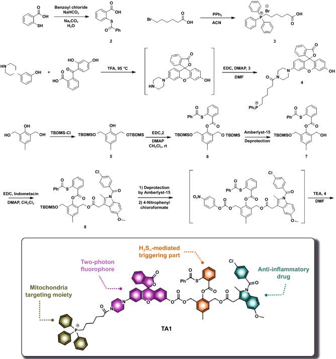 https://cdn.ncbi.nlm.nih.gov/pmc/blobs/eb2c/8342730/25a4f642f75e/40820_2021_689_Sch1_HTML.jpg