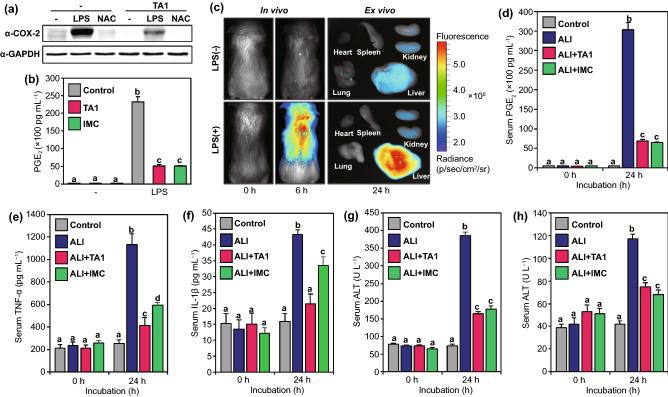 https://cdn.ncbi.nlm.nih.gov/pmc/blobs/eb2c/8342730/651fa4e46262/40820_2021_689_Fig4_HTML.jpg