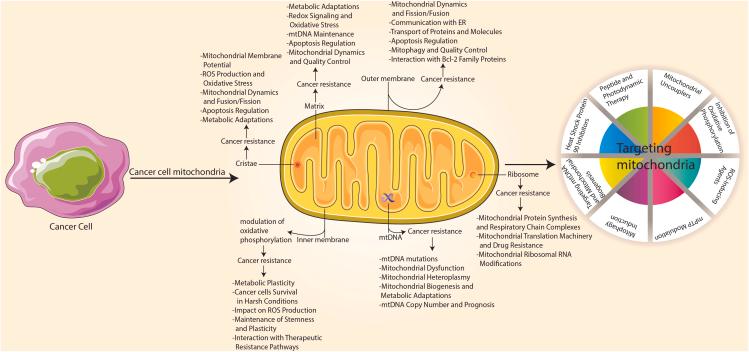 https://cdn.ncbi.nlm.nih.gov/pmc/blobs/eb2d/11145355/296364c80187/gr6.jpg