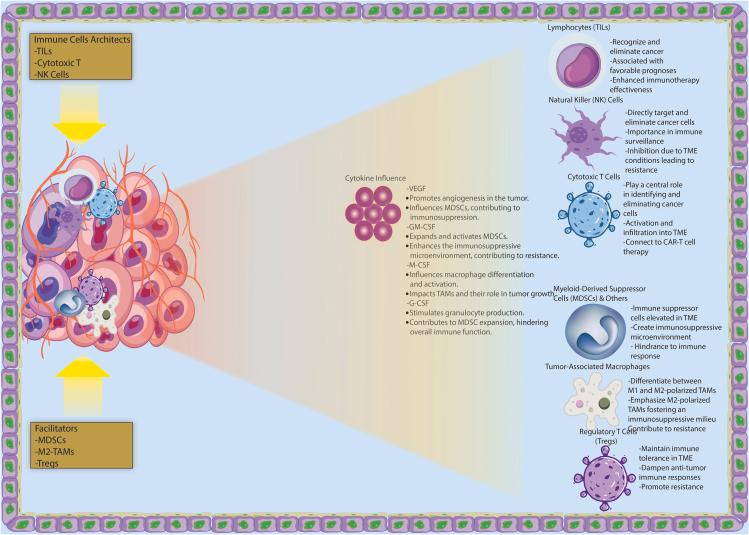 https://cdn.ncbi.nlm.nih.gov/pmc/blobs/eb2d/11145355/8de90acf05e4/gr2.jpg
