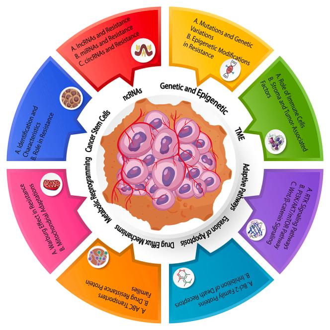 https://cdn.ncbi.nlm.nih.gov/pmc/blobs/eb2d/11145355/9e7c6a456012/fx1.jpg