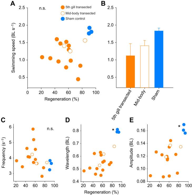 https://cdn.ncbi.nlm.nih.gov/pmc/blobs/eb2d/8627570/5a8cda51cb48/jexbio-224-242639-g2.jpg