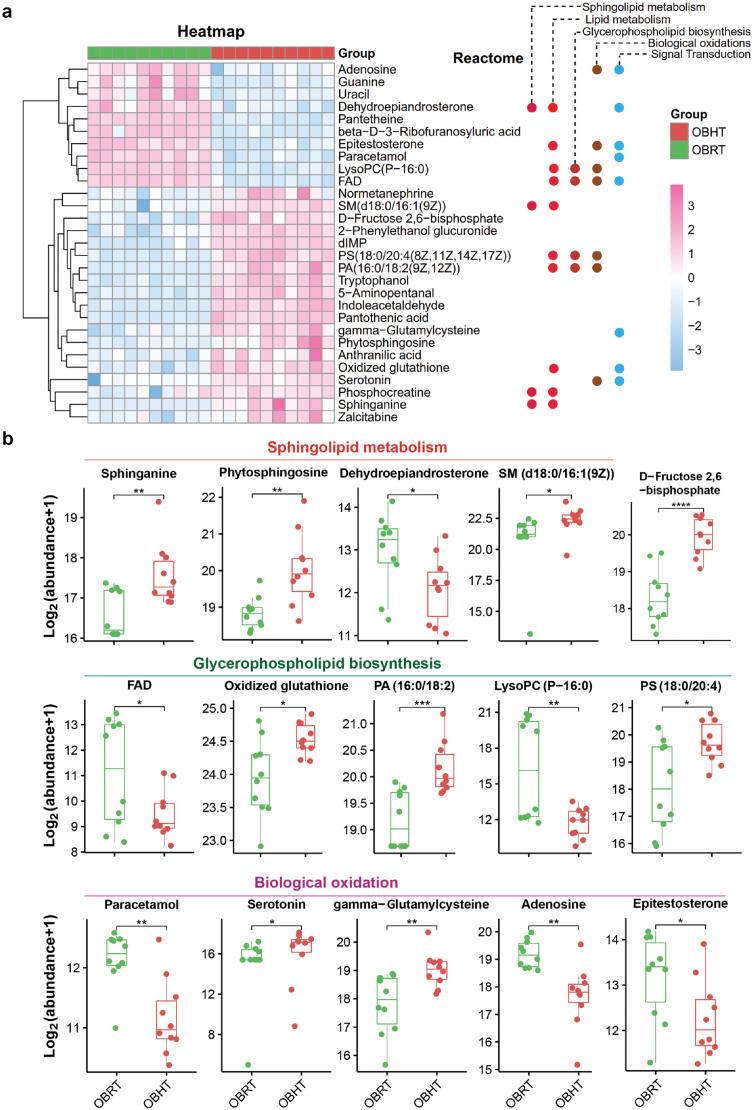 https://cdn.ncbi.nlm.nih.gov/pmc/blobs/eb33/11749596/f294b7502ed2/loae012_fig4.jpg