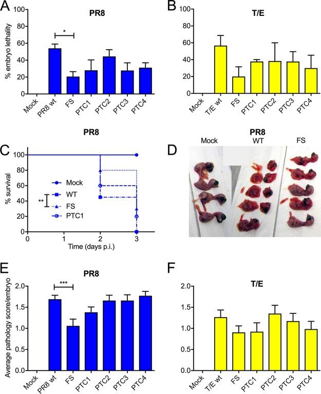 https://cdn.ncbi.nlm.nih.gov/pmc/blobs/eb33/6321911/740b7bfd23e2/JVI.01551-18-f0004.jpg
