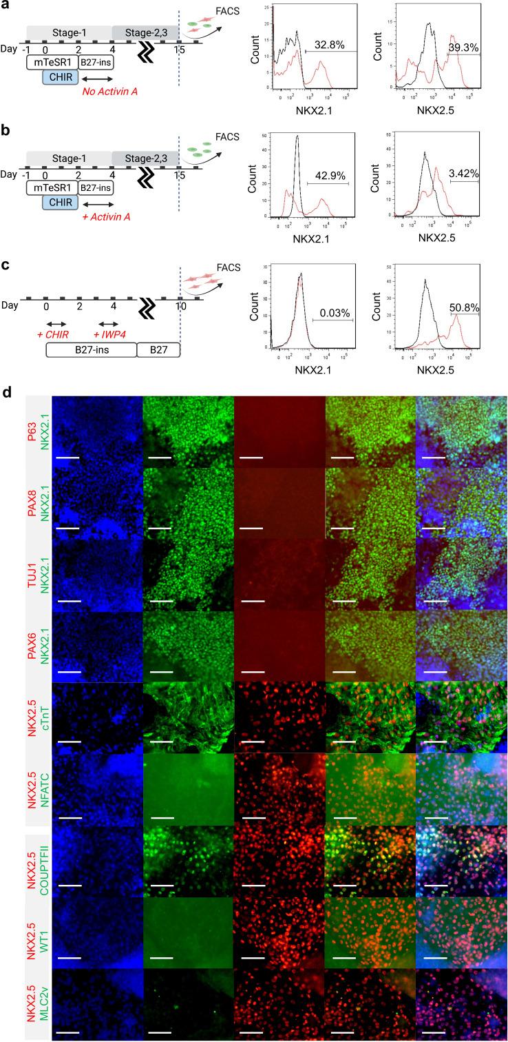 https://cdn.ncbi.nlm.nih.gov/pmc/blobs/eb34/8846595/4569d6280f43/elife-67872-fig2-figsupp1.jpg