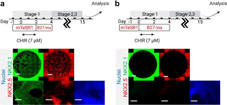 https://cdn.ncbi.nlm.nih.gov/pmc/blobs/eb34/8846595/836bfa949fdc/elife-67872-fig3-figsupp1.jpg