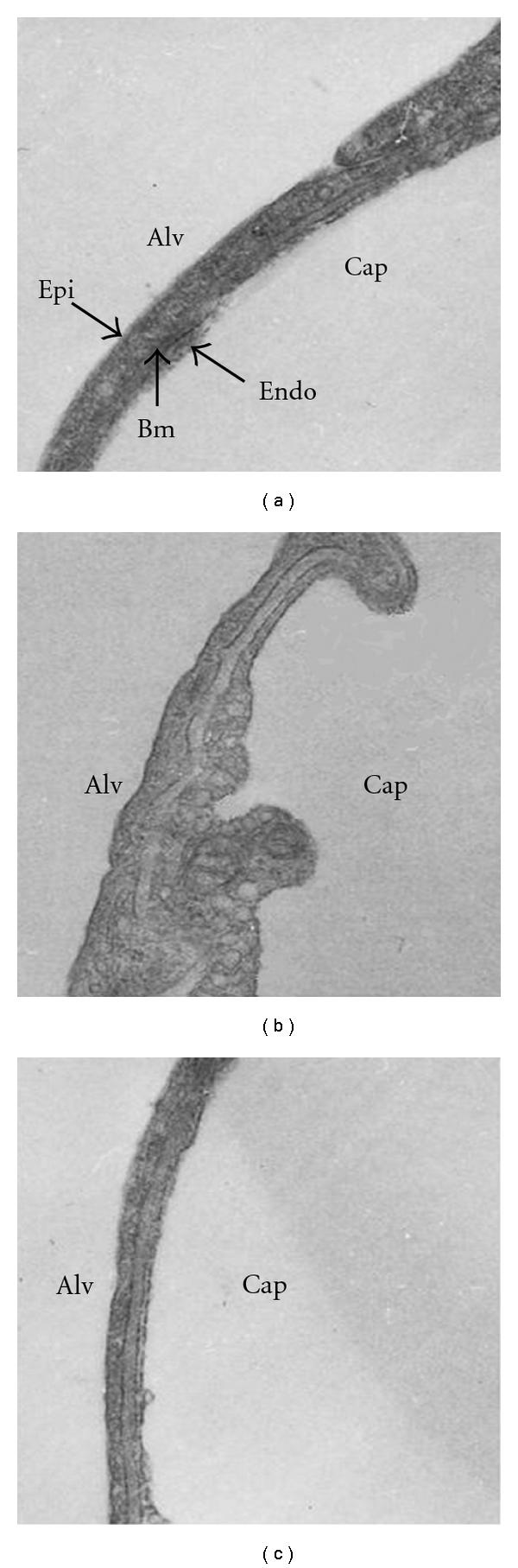 https://cdn.ncbi.nlm.nih.gov/pmc/blobs/eb37/3139192/11551d4db278/JL2011-695369.002.jpg