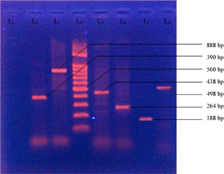 https://cdn.ncbi.nlm.nih.gov/pmc/blobs/eb38/5442910/07c4c2617927/TCMJ-28-94-g001.jpg