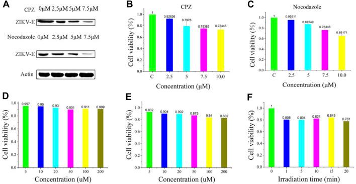 https://cdn.ncbi.nlm.nih.gov/pmc/blobs/eb38/9305201/c1531448c700/fbioe-10-940511-g004.jpg