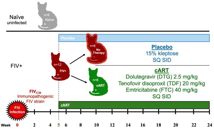 https://cdn.ncbi.nlm.nih.gov/pmc/blobs/eb3a/10146003/b4e0b48b2c42/viruses-15-00822-g001.jpg