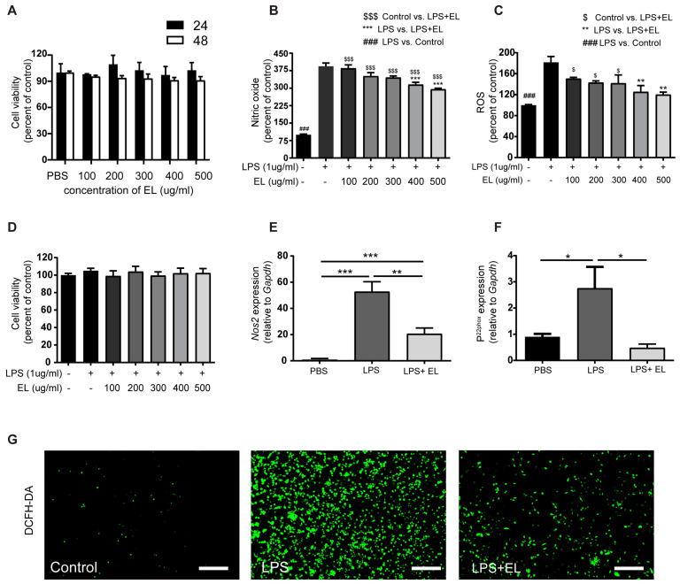 https://cdn.ncbi.nlm.nih.gov/pmc/blobs/eb3e/11673262/da31773b6c0c/antioxidants-13-01485-g006.jpg