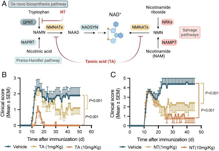 https://cdn.ncbi.nlm.nih.gov/pmc/blobs/eb42/9436380/91c3e38adf4a/pnas.2211310119fig01.jpg
