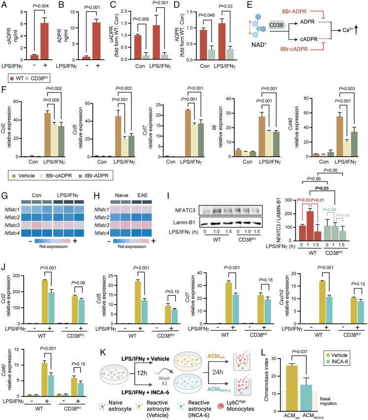 https://cdn.ncbi.nlm.nih.gov/pmc/blobs/eb42/9436380/b02373703b22/pnas.2211310119fig04.jpg