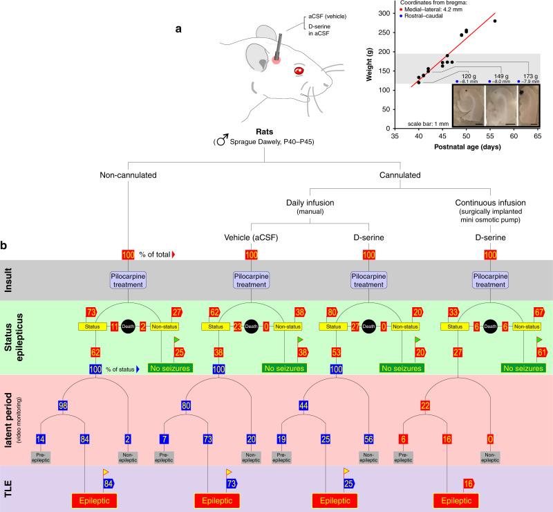 https://cdn.ncbi.nlm.nih.gov/pmc/blobs/eb43/7532172/202a0cea3427/41467_2020_18757_Fig1_HTML.jpg