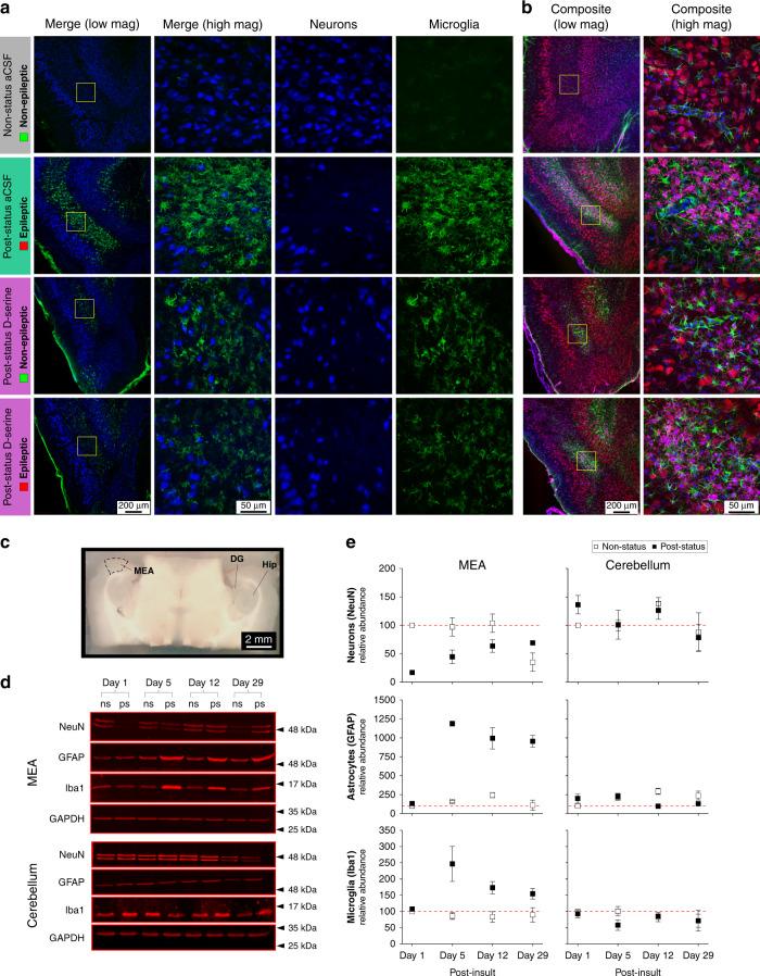 https://cdn.ncbi.nlm.nih.gov/pmc/blobs/eb43/7532172/9d2aeb2709dc/41467_2020_18757_Fig4_HTML.jpg