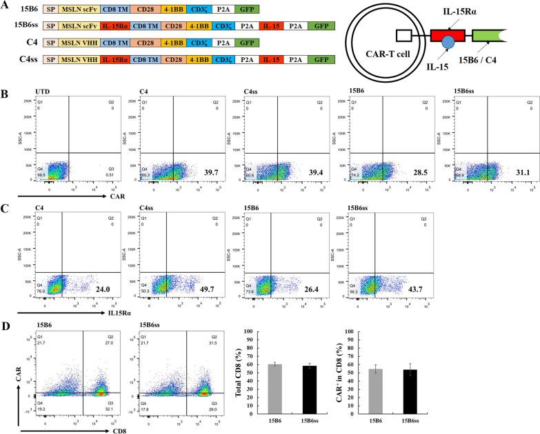 https://cdn.ncbi.nlm.nih.gov/pmc/blobs/eb44/10874561/5cc0f82520a1/12967_2024_4982_Fig1_HTML.jpg
