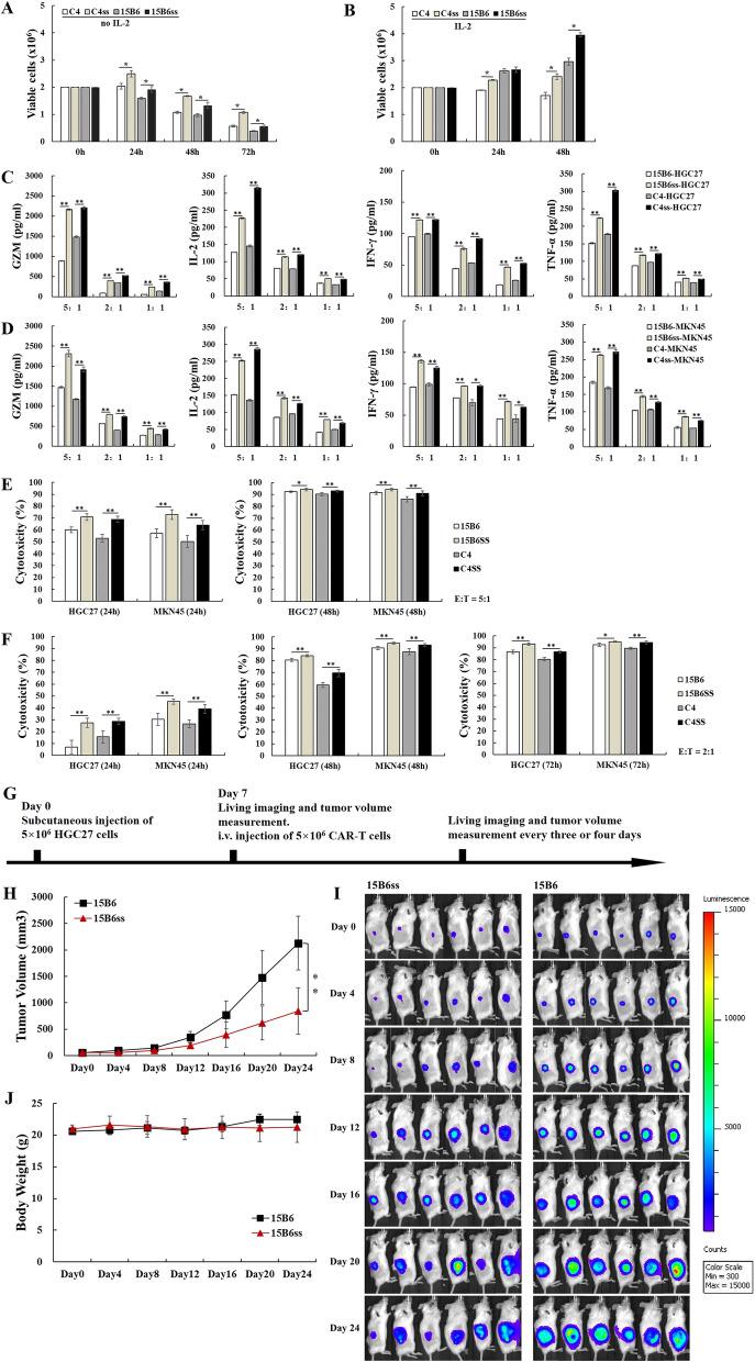 https://cdn.ncbi.nlm.nih.gov/pmc/blobs/eb44/10874561/cd8554c1c55a/12967_2024_4982_Fig2_HTML.jpg