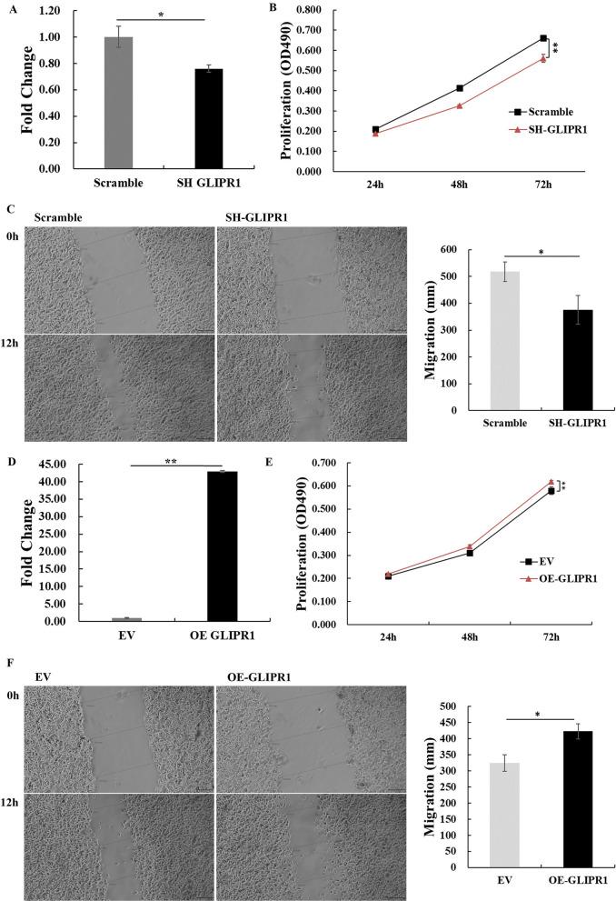 https://cdn.ncbi.nlm.nih.gov/pmc/blobs/eb44/10874561/d7c0336e5a08/12967_2024_4982_Fig5_HTML.jpg