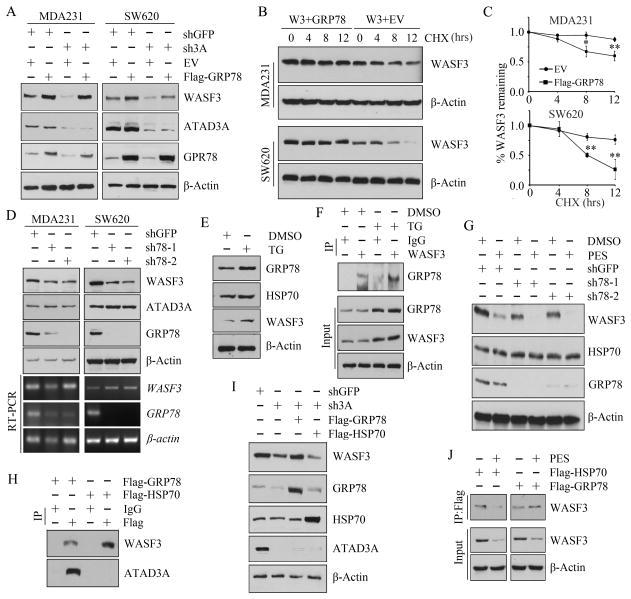 https://cdn.ncbi.nlm.nih.gov/pmc/blobs/eb46/4828935/727e336da698/nihms665504f5.jpg