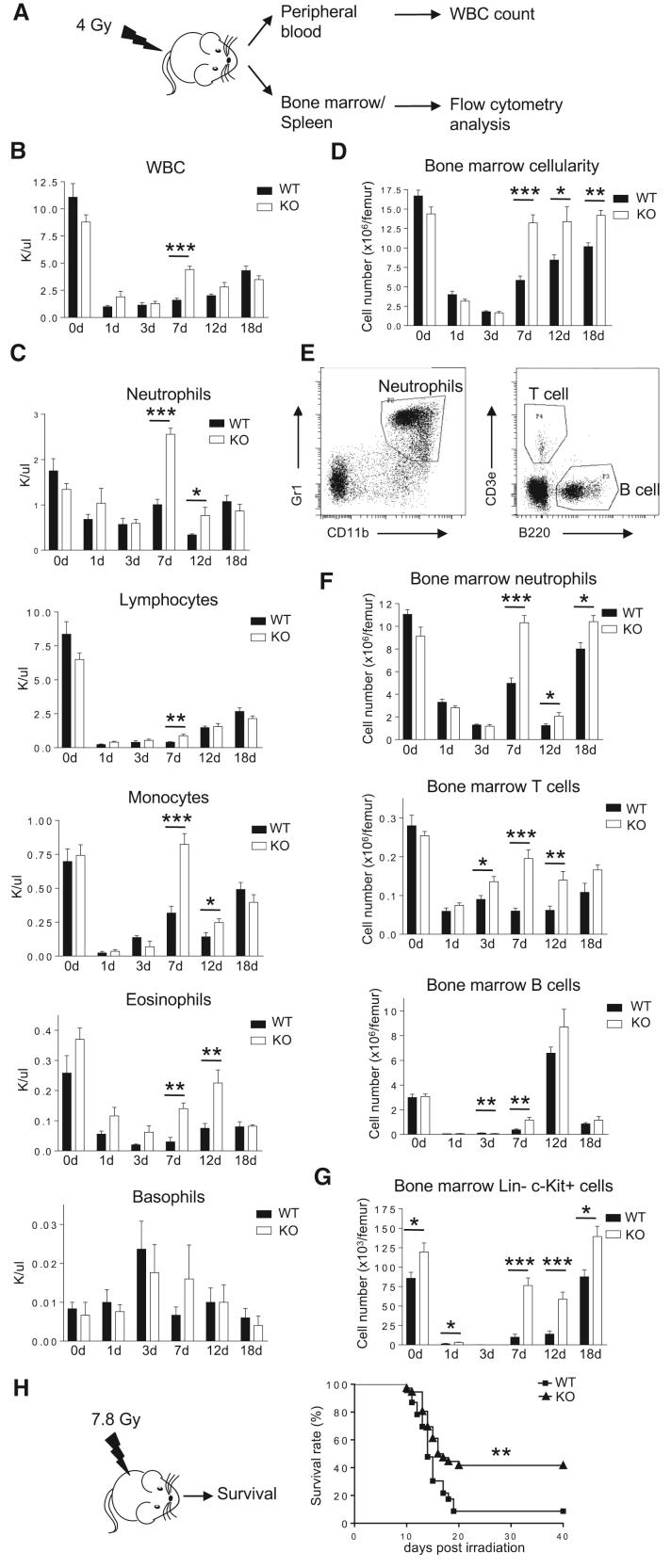 https://cdn.ncbi.nlm.nih.gov/pmc/blobs/eb4a/6235012/31a41281ec84/gr3.jpg
