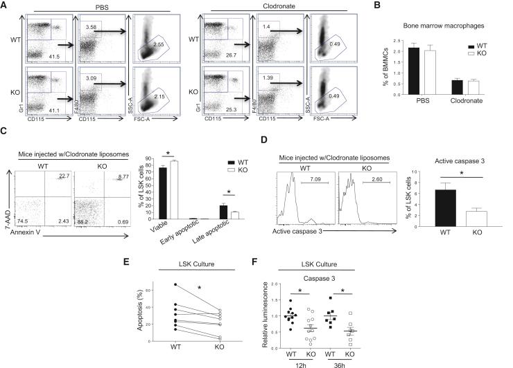 https://cdn.ncbi.nlm.nih.gov/pmc/blobs/eb4a/6235012/bdebb327fb34/gr6.jpg