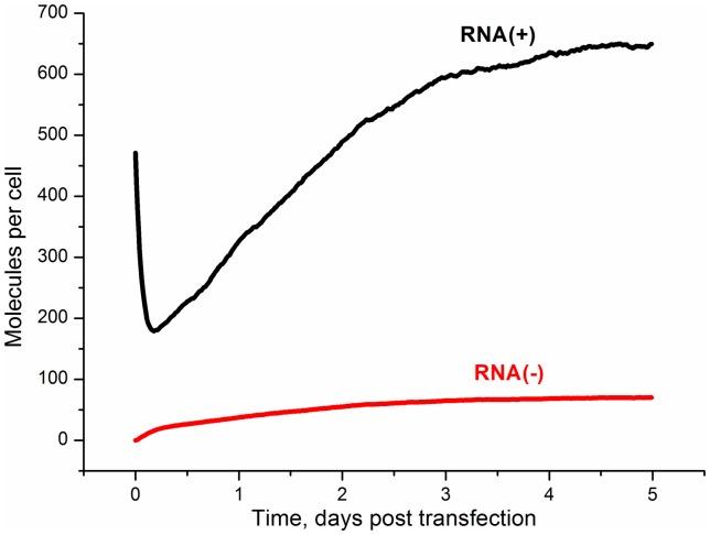 https://cdn.ncbi.nlm.nih.gov/pmc/blobs/eb4b/3958367/b17c09805d14/pone.0091502.g002.jpg
