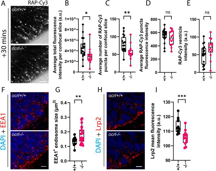 https://cdn.ncbi.nlm.nih.gov/pmc/blobs/eb4c/9592051/4894f72dbfd7/joces-135-260339-g3.jpg