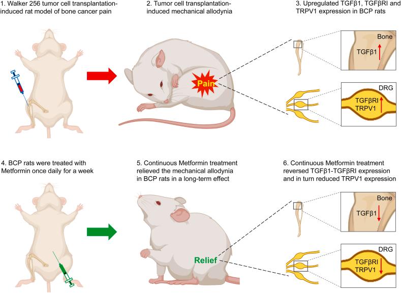 https://cdn.ncbi.nlm.nih.gov/pmc/blobs/eb4d/11328085/6cd4ebae2bc6/gr9.jpg