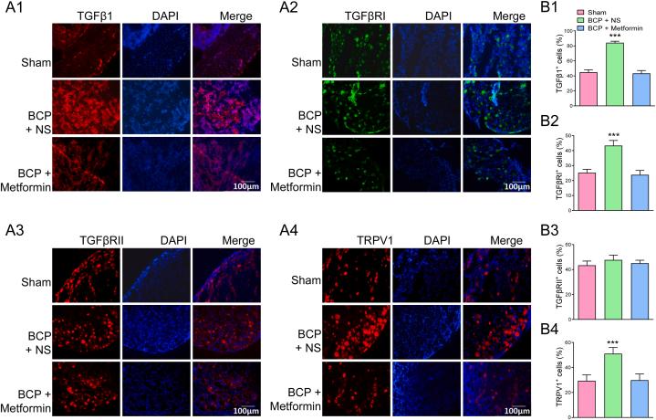 https://cdn.ncbi.nlm.nih.gov/pmc/blobs/eb4d/11328085/9ab291d360d4/gr6.jpg