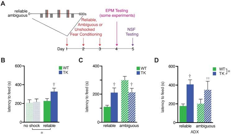https://cdn.ncbi.nlm.nih.gov/pmc/blobs/eb4d/5384657/630331baf0ec/pbio.2001154.g003.jpg