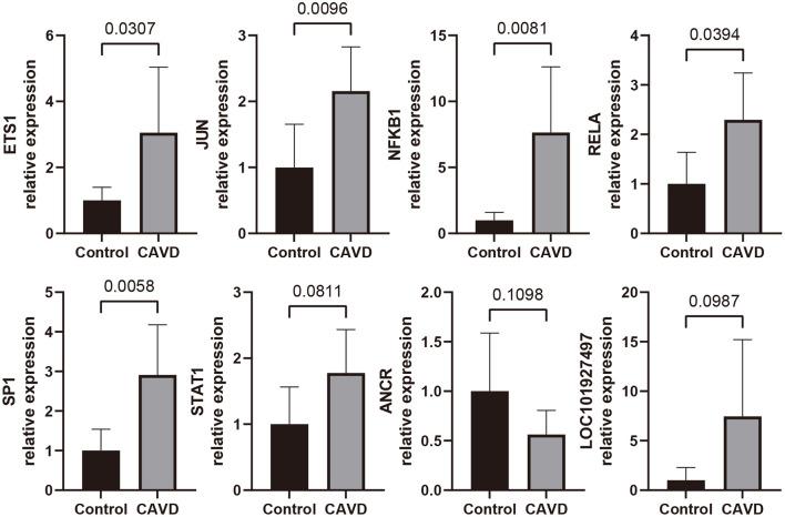 https://cdn.ncbi.nlm.nih.gov/pmc/blobs/eb4d/9276990/cb2a8efda291/fcvm-09-826744-g0010.jpg