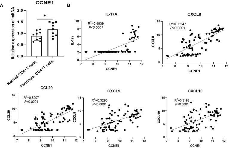 https://cdn.ncbi.nlm.nih.gov/pmc/blobs/eb51/11128609/8ffd3f2f5e45/fimmu-15-1388690-g007.jpg