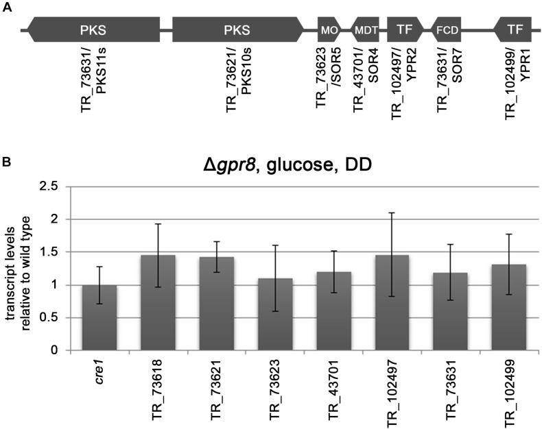 https://cdn.ncbi.nlm.nih.gov/pmc/blobs/eb53/7676458/73aaa970a450/fbioe-08-558996-g002.jpg
