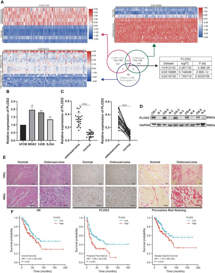 https://cdn.ncbi.nlm.nih.gov/pmc/blobs/eb53/9581331/1727711910f8/fonc-12-980390-g001.jpg