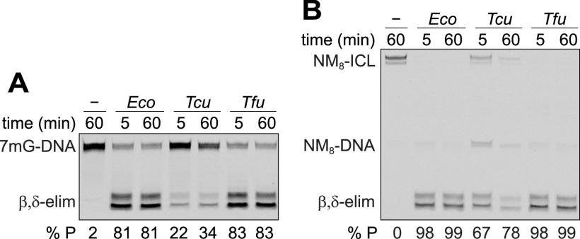 https://cdn.ncbi.nlm.nih.gov/pmc/blobs/eb57/9040887/3b2743baed30/mbio.03297-21-f005.jpg